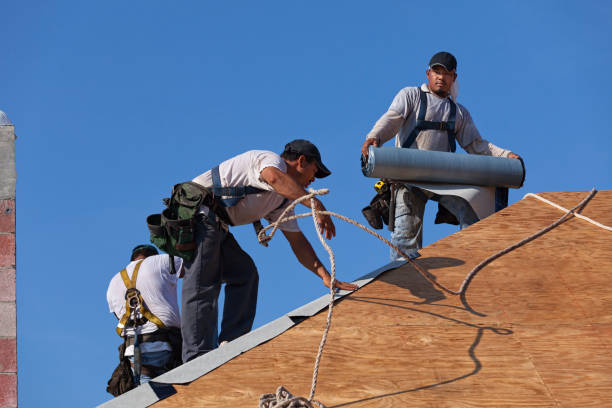 Best Best Roofing Contractors  in Hitchcock, TX