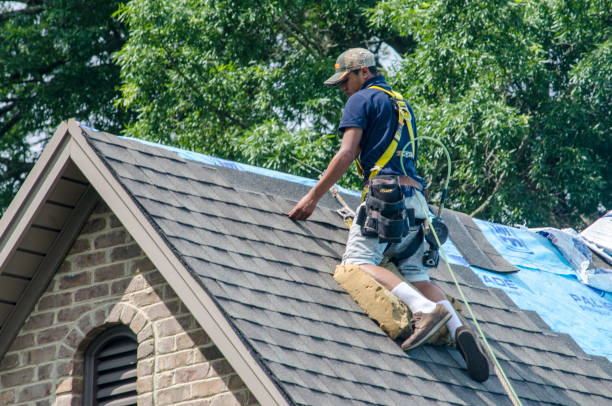 Best Storm Damage Roof Repair  in Hitchcock, TX